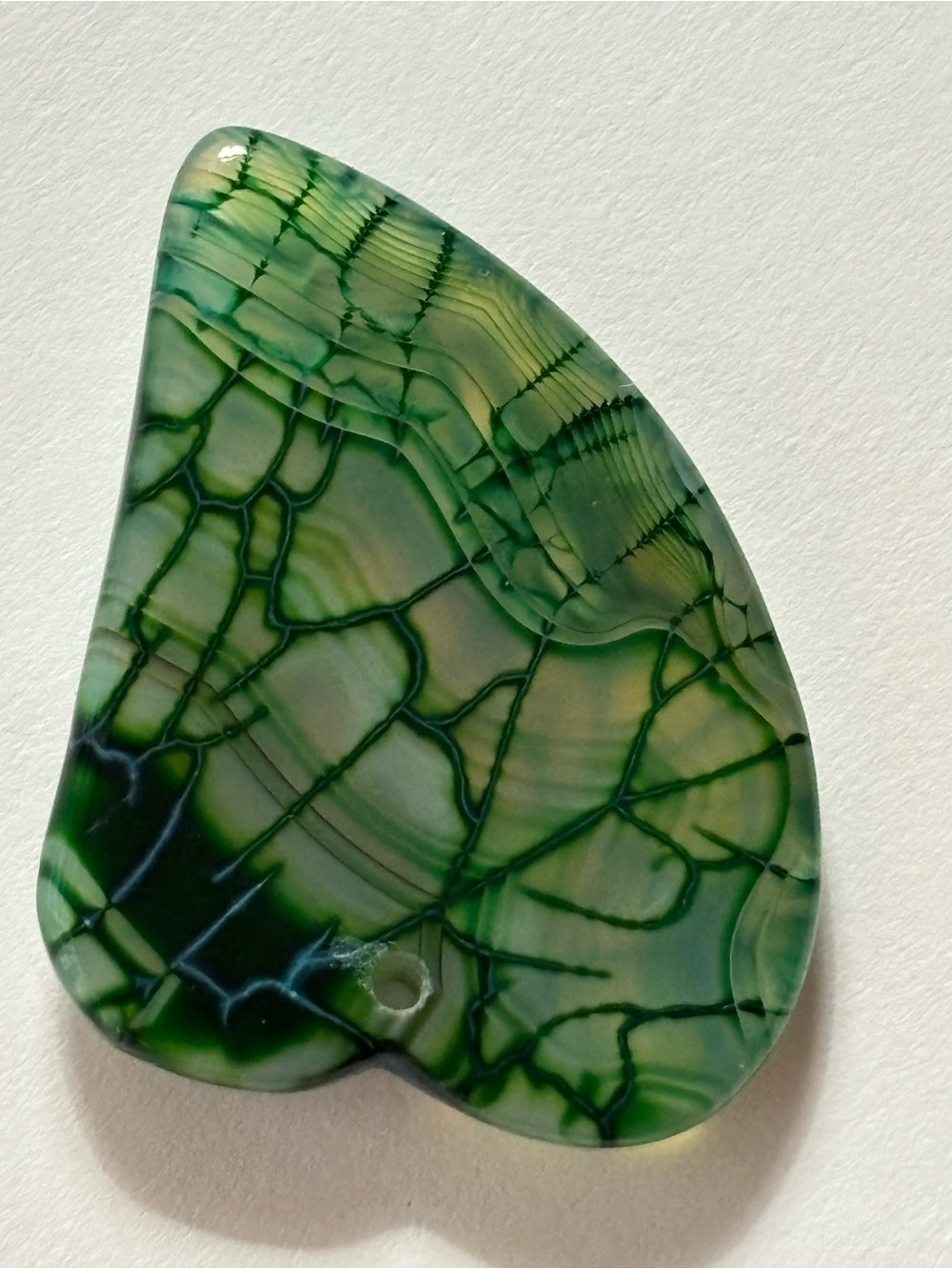 Close Up Vein Stem Leaf Phototropism Color Rock - Picture 11 of 16
